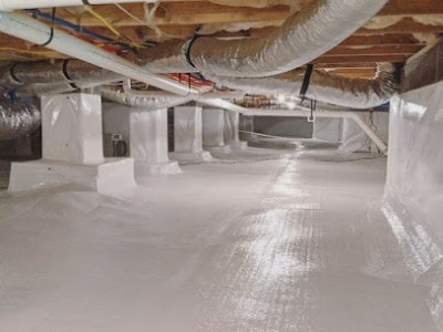 Rodent exclusion services | CrawlTech Solutions