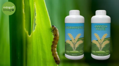 Rice Protect Kit for Army Worms – Manufacturer