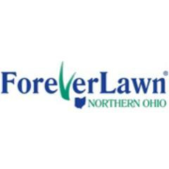 Reliable Artificial Grass Installer