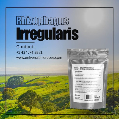 Rhizophagus Irregularis Mycorrhizae for Sale