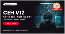 Ethical Hacker Certification Training