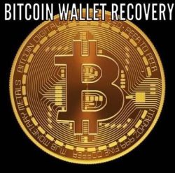 Recovery of Crypto Sent to the Wrong Wallet Addres