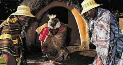  EFFECTIVE LOVE SPELLS +27685771974% VOODOO DOLL