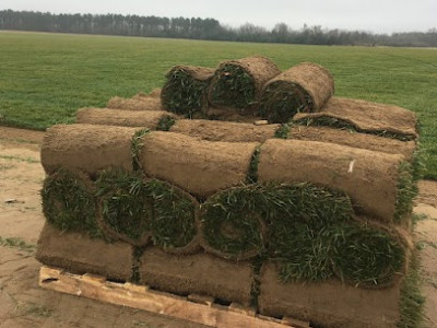 SOD Supplier in my area | Turf Connections